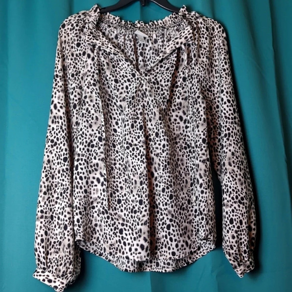 💖Leopard Print Top. A New Day - Picture 1 of 9